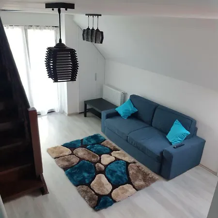 Apartament Golden Rose Busteni Exterior photo