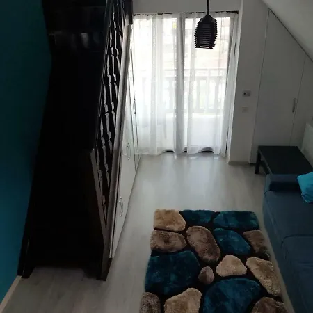 Apartament Golden Rose Busteni Exterior photo