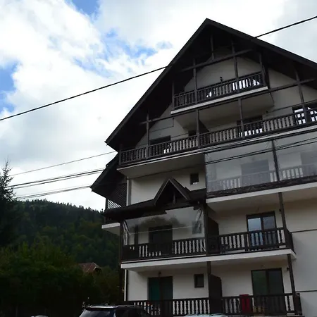 Apartament Golden Rose Busteni Exterior photo