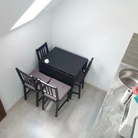 Apartament Golden Rose Busteni Exterior photo
