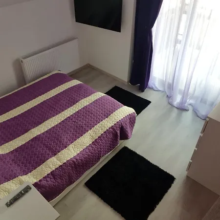 Apartament Golden Rose Busteni Exterior photo