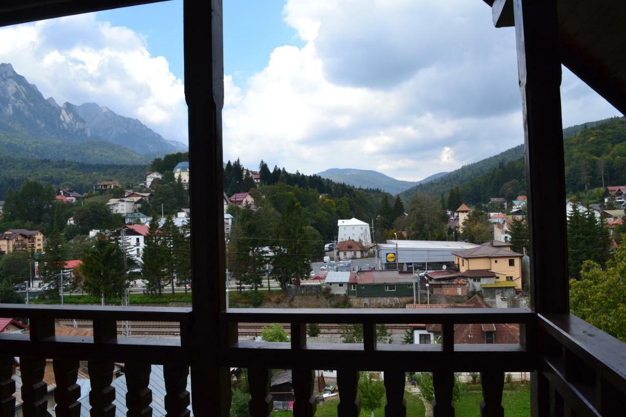 Golden Rose Apartment Busteni